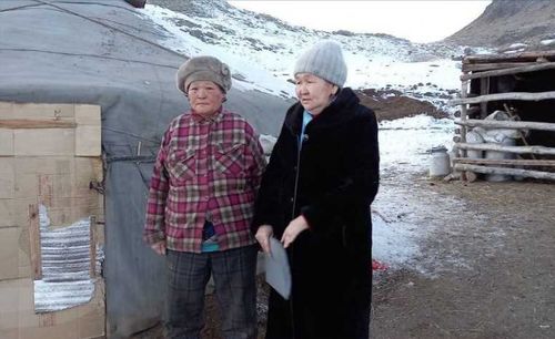 В Туве проходит ревакцинация чабанов