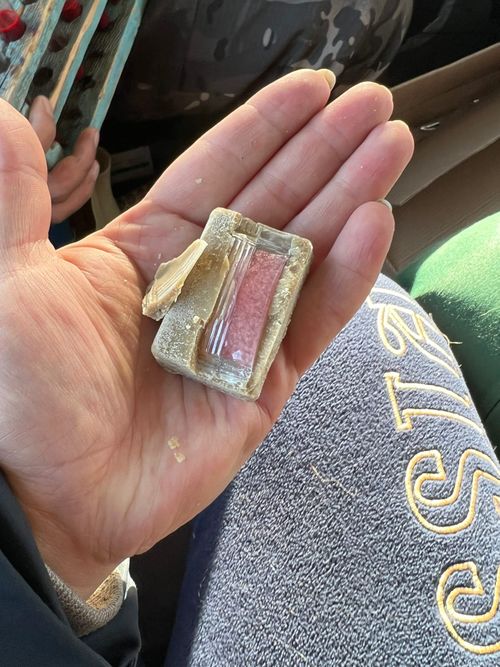 В Дзун-Хемчикском районе заготовили вакцины от бешенства для хищных животных