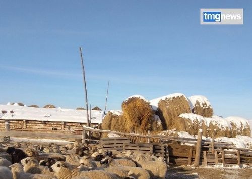 Каа-Хем кожуунда кыштаглаашкын чогумчалыг эртип турар