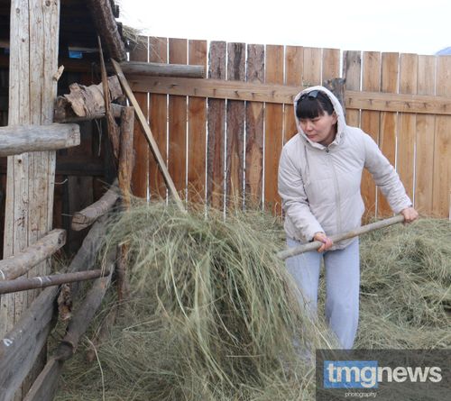 Малдыг-даа, ажылдыг-даа