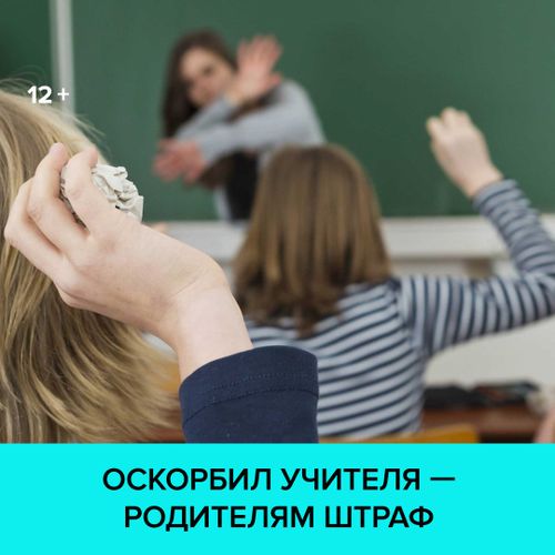 Путин подписал закон о защите учителей от насилия и оскорблений