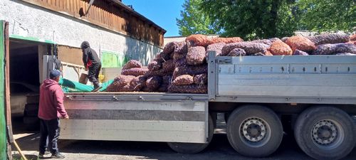 В Сут-Хольском районе более 200 семей получат «народный картофель»