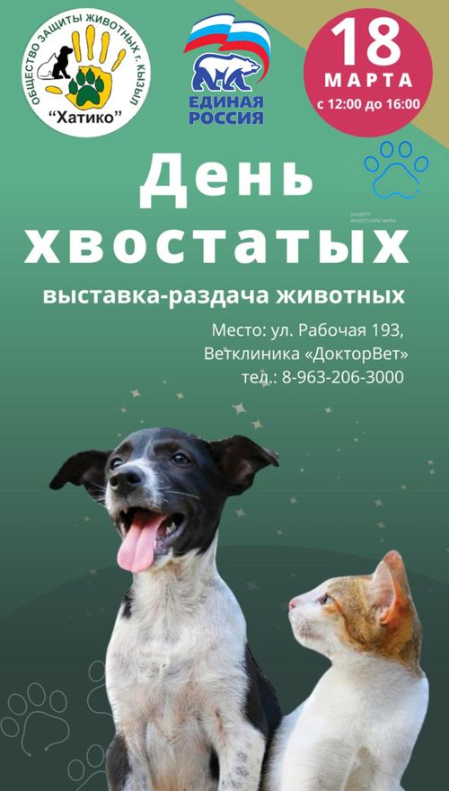 В Туве пройдет благотворительная выставка-раздача животных «День хвостатых»