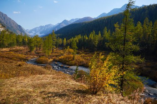 100 000 рублей за рассказ о природе России