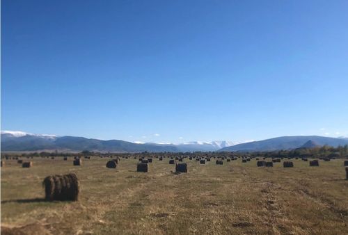 В Туве завершена кормозаготовительная кампания
