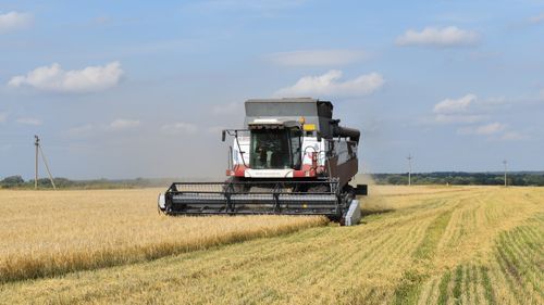 В Дзун-Хемчикском районе планируют собрать 940 тонн зерна