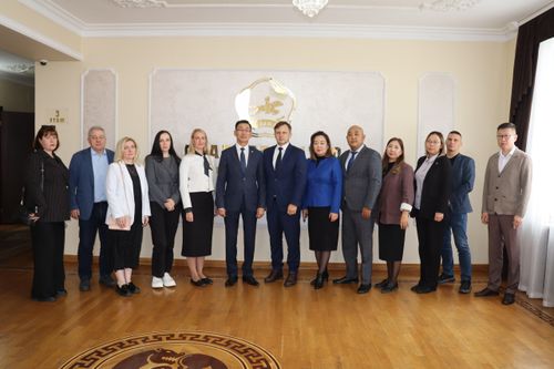 Экспертная делегация медиков из Санкт‑Петербурга подвела итоги аудита педиатрической службы Тувы