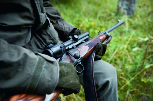 Россельхознадзор напомнил о мерах безопасности в период охотничьего сезона