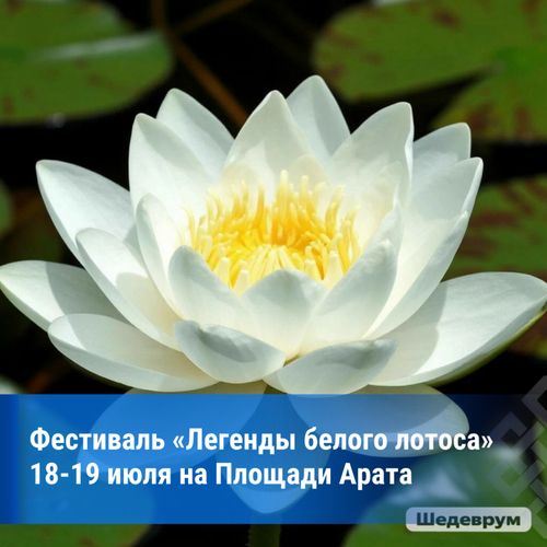 Фестиваль «Легенды белого лотоса» пройдёт на площади Арата в Кызыле 18–19 августа