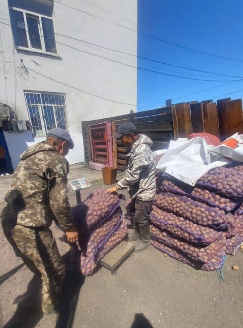 В Эрзинском районе все поселения обеспечены «народным картофелем»