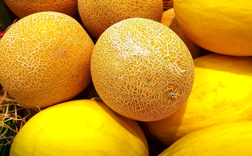 Роскачество дало рекомендации по выбору дыни