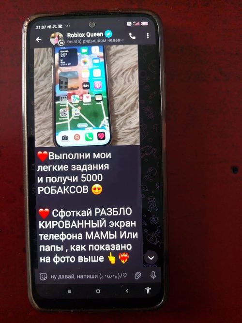 В Тоджинском районе школьница стала жертвой мошенников в игре «Роблокс»