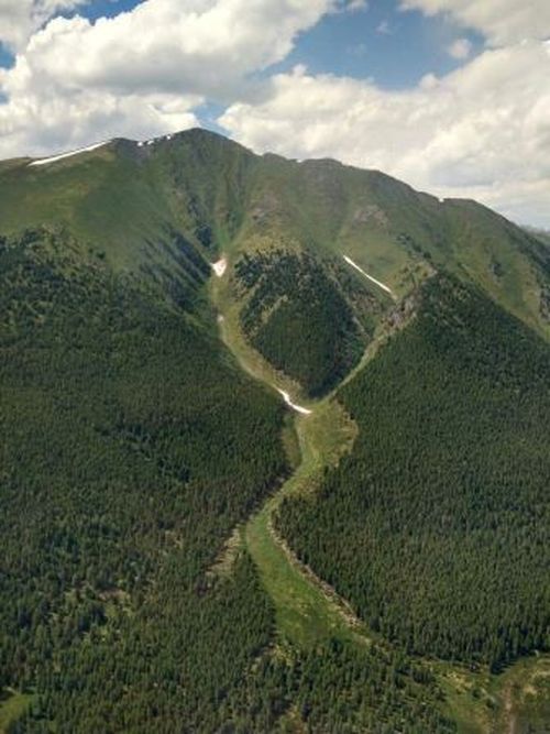 В Туве утвердили план-график мониторинга лесов на 2025 год