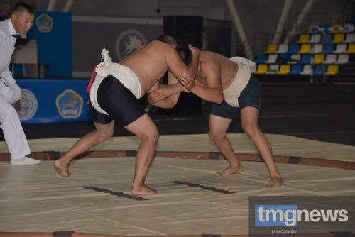 Трое борцов сумо из Тувы удостоились звания «Мастер спорта России международного класса»