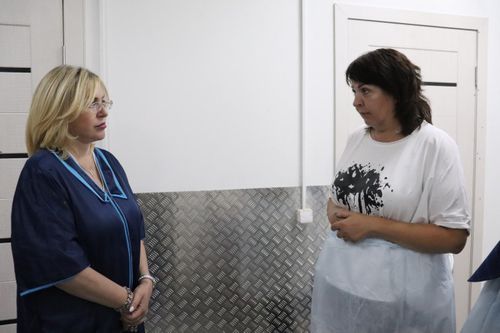 В Туву приехала представитель Государственной Думы по вопросу регулирования численности бездомных животных