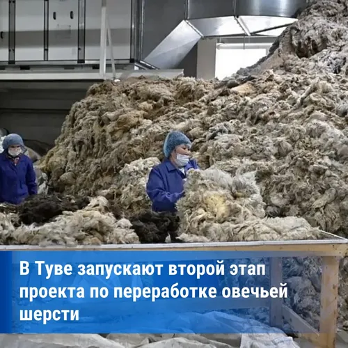 В Туве начнут выпускать нетканые материалы из местной шерсти