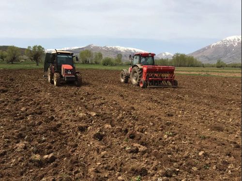 Красноярскстат огласил первые итоги сельскохозяйственной микропереписи