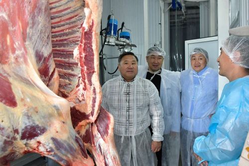 Глава Тувы посетил новый убойный цех