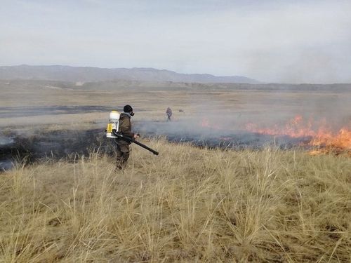 В Красноярске представили новый образовательный формат для финансистов и менеджеров