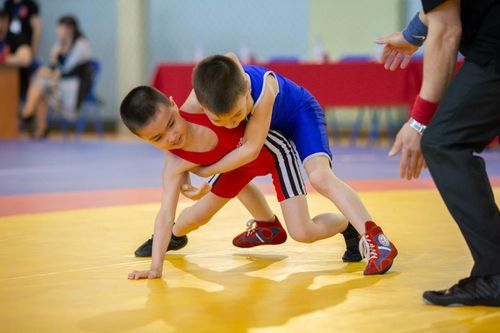 В Туве начал работать интернет-портал для поиска кружков и секций