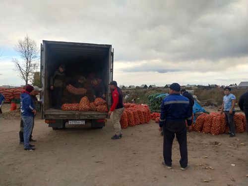 Аграрии Тувы передали 20 тонн картофеля семьям мобилизованных