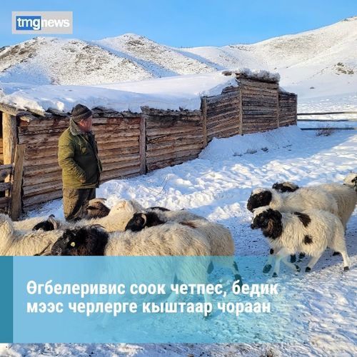 Өгбелеривис соок четпес, бедик мээс черлерге кыштаар чораан