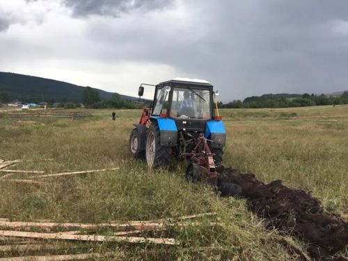 В Туве идет обновление минерализованных полос