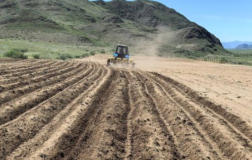 Өг-бүле шыгжамыры: Картофель шөлүн хынап көрген