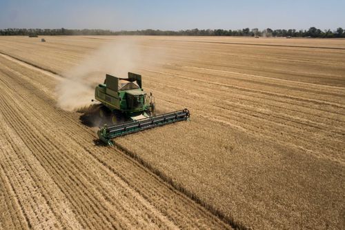 В России начинается посевная кампания