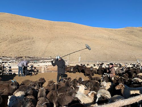 В Красноярске снимают документальный сериал о традиционной музыке коренных народов Сибири