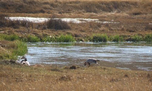 В Туве разработают проекты, направленные на экологизацию экономики регионов Енисейской Сибири