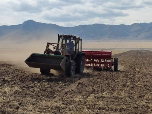 Хозяйства Пий-Хема приступили к весенне-полевым работам