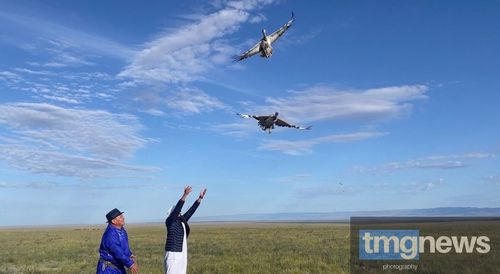 В Туве впервые в истории России выпустили редких птиц