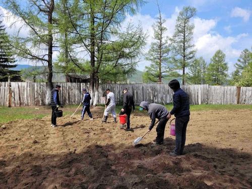 В Туве 738 подростков получили опыт работы этим летом