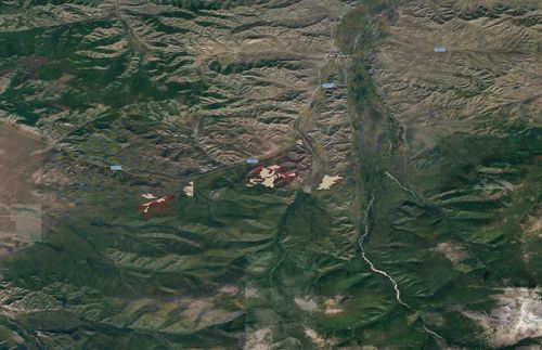 Специалисты Рослесозащиты начали оценку участков под компенсационное лесовосстановление в Туве