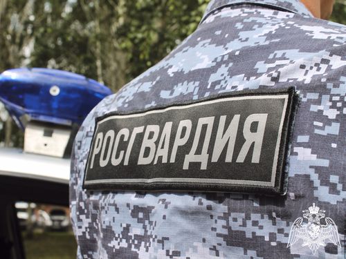 Жительнице Кызыла помогли вернуть украденный телефон