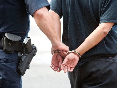 В Кызыле задержали подозреваемого в краже тувинского кашемира