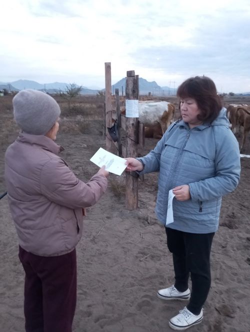 В Улуг-Хемском районе продолжаются рейды по чабанским стоянкам