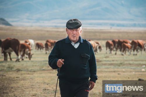 Решение федерального правительства поддержит фермеров Тувы