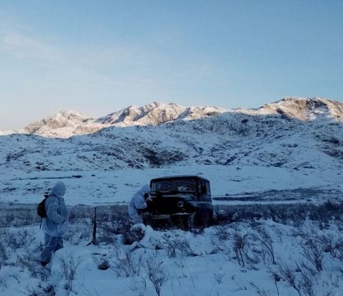 В Туве открывается сезон охоты на бурого медведя