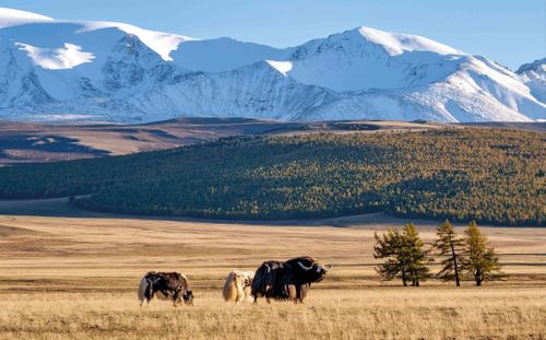 В России объявили о старте VIII Международного фотоконкурса «Русская цивилизация»
