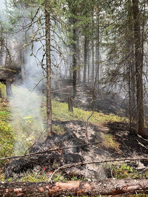 В Туве действует 31 лесной пожар на общей площади 7815 га