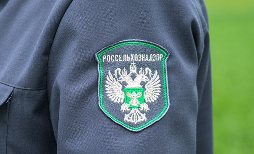 Россельхознадзор рассказал о правилах выезда с животными-компаньонами за границу