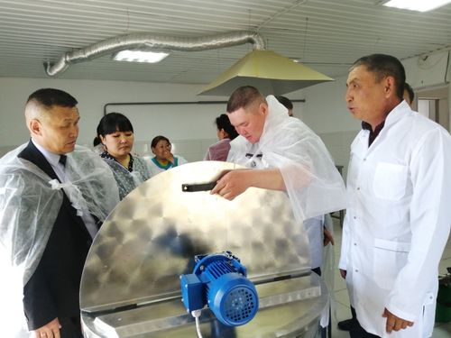 Бай-Тайгада сүт болбаазырадыр, ак-чем бүдүрүлгези ажыттынган