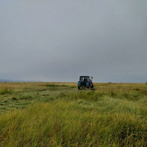 В селе Сарыг-Холь активно проходит заготовительная кампания
