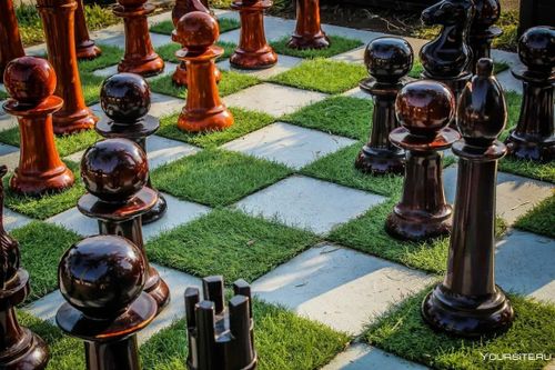 Проект ТувГУ получил федеральную грантовую поддержку