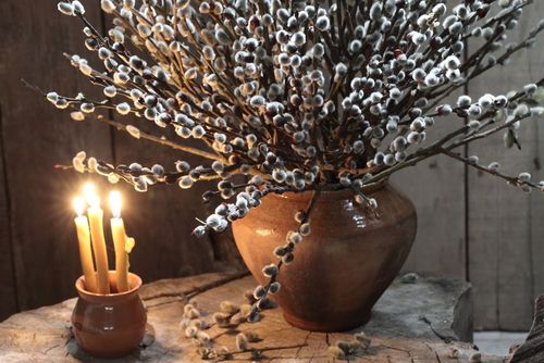 Глава Тувы поздравил жителей республики с Вербным воскресеньем