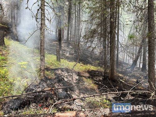 Лесопожарная обстановка в Туве: восемь очагов на площади 2,6 тыс. га, один пожар локализован