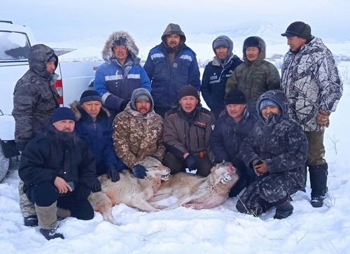 Тес-Хемде кокай аглаашкыны