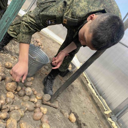 "Добрые сердца Тувы" помогли пенсионерке с посадкой картофеля